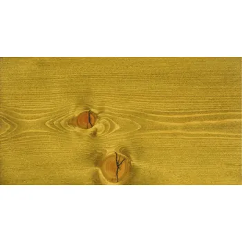 barva a nátěr na dřevo Hyperticus BIO Vosková lazura 5 lt - E19 Zeleň jarní T19