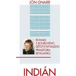 Indián: Román z bouřlivého dětství…