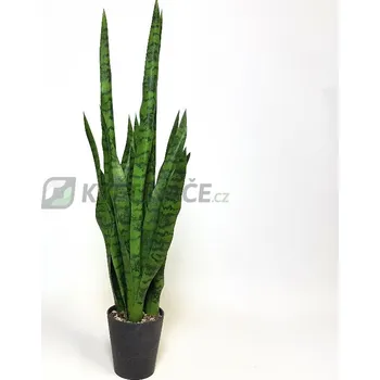 umělá květina Umělá Sansevieria zelená 81cm - Nezalévat