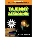 Neoficiální hráčovo dobrodružství 2:…