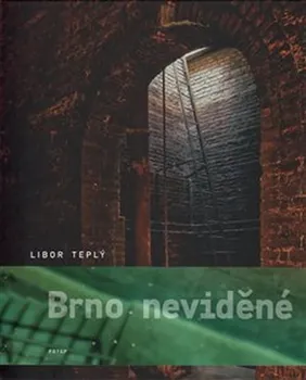 Umění Brno neviděné - Libor Teplý