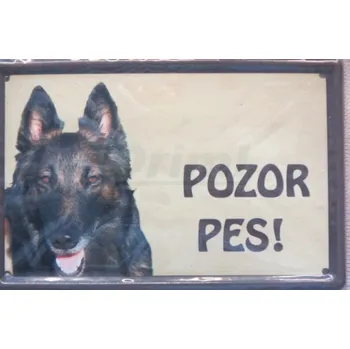 Pozor pes - belgický ovčák