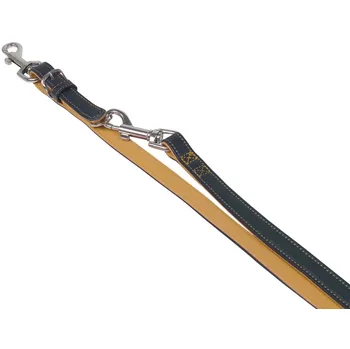 Vodítko pro psa Nobby Pacific oranžové