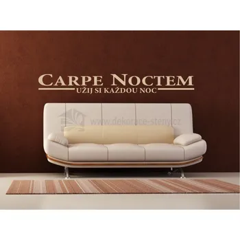 Samolepící dekorace Dekorace na stěny - Carpe Noctem - dekorace-steny.cz - 10 x 100 cm - 287