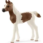 Schleich 13839 hříbě Pintabianské