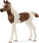 Schleich 13839 hříbě Pintabianské