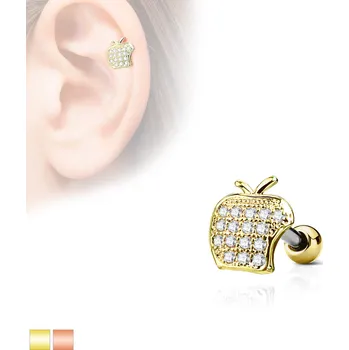 Náušnice Náušnice chirurgická ocel JA19145