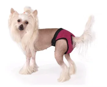 kalhotky pro psa Tommi Fun Colours hárací růžové