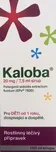 Kaloba Sirup 20 mg/7,5 ml