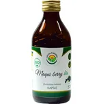 Salvia Paradise Maqui berry kapsle BIO