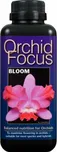 Growth Technology Orchid Focus Bloom