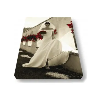 Obraz Fotoobraz na plátno premium canvas - bavlna 105x70 - 1.198,- Kč