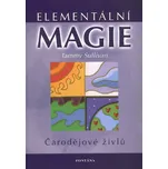 Elementální magie: Čarodějové živlů -…