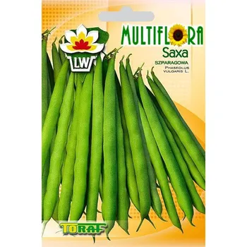 Semeno FAZOL keříčkový zelenoluský SAXA, semena 30g