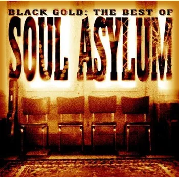 Zahraniční hudba Black Gold: The Best of Soul Asylum - Soul Asylum [CD]