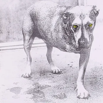 Zahraniční hudba Alice In Chains - Alice In Chains [CD]