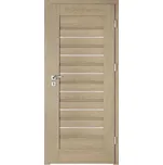 INTENSO interiérové dveře INTENSO LION STEEL W-1