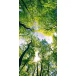 DIMEX FL-85-001 85 x 170 cm