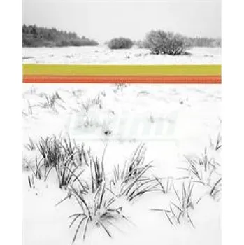 Chov hospodářského zvířete TopLine Plus páska,10mm, 200 m, žluto - oranžová, 50 Ω/100 m