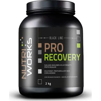 Gainer NutriWorks Pro Recovery 2000 g