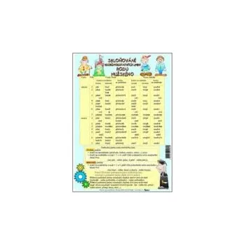 Český jazyk Nástěnný výukový obraz - Skloňování vzorů podstatných jmen rodu mužského -