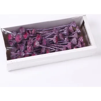Zahradní dekorace SU Compacta Rosette Frosted Brombeer 50ks (0653020559173)