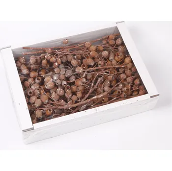 Zahradní dekorace SU Bellgums na Stonku Frosted Oranžový 50ks (0653020558398)