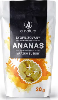 Sušené ovoce Allnature Ananas mrazem sušený 20 g