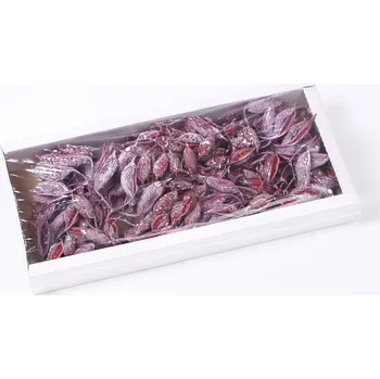 Zahradní dekorace SU Brachyciton Frosted Erica 1kg (0664979969173)