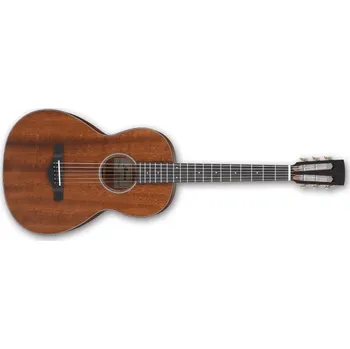 Akustická kytara Ibanez AVN9 natural