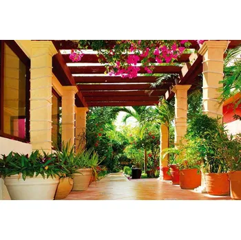 Fototapeta Dimex XL-437 330 x 220 cm