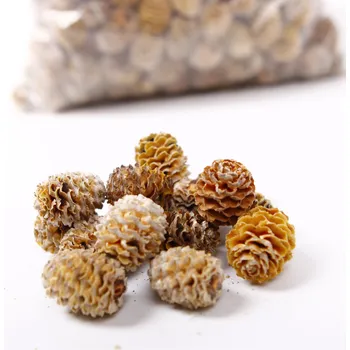 Zahradní dekorace SU Meridianum Loose Přírodní 1kg (KENT01)