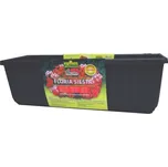 Agro Floria Siesta 80 cm