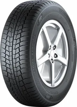 Zimní osobní pneu Gislaved Euro Frost 6 245/45 R18 100 V XL