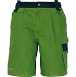 Australian Line Stanmore šortky…