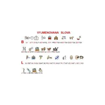 Widgit Vyjmenovaná slova - naučná karta