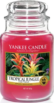 Svíčka Yankee Candle Tropical Jungle
