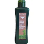 Salerm Biokera šampon proti lupům