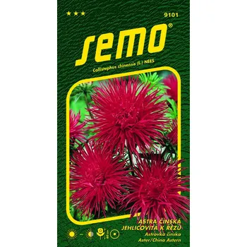 Semeno SEMO Astra čínská jehlicovitá k řezu Electric červená 0,5 g 
