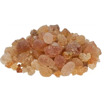 Krmivo pro terarijní zvíře Mazuri Arabská guma - kousky 500g