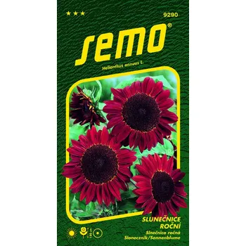 Semeno SEMO Slunečnice roční červená 2 g