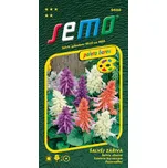 SEMO Šalvěj zářivá směs 30 ks