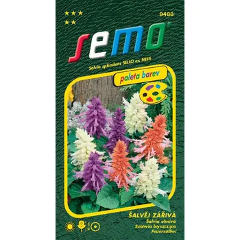 Semeno SEMO Šalvěj zářivá směs 30 ks