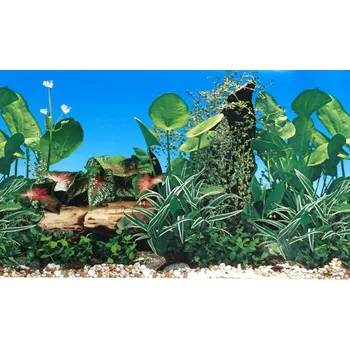 Dekorace do akvária Aqua Nova Akvarijní pozadí C140060 výška 61cm