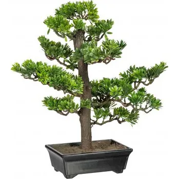 Květináč Bonsai Podocarpus 43 cm 3318185-50