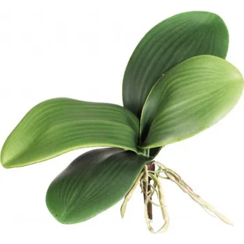 umělá květina Listy orchideje MINI 172872-50
