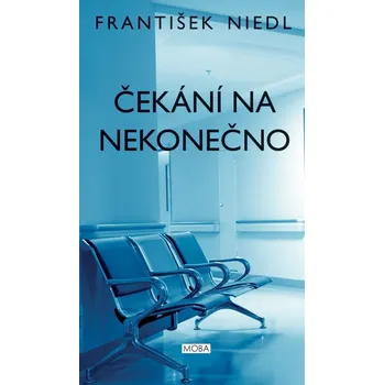 Kniha Čekání na nekonečno - František Niedl (E-Kniha)
