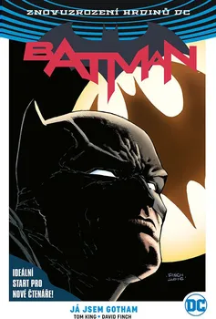 Komiks pro dospělé Batman: Já jsem Gotham - Tom King