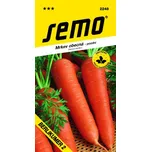 SEMO Mrkev Berlikumer 2 pozdní 300 ks
