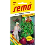 SEMO Jahodník Převislý Temptation 15 ks